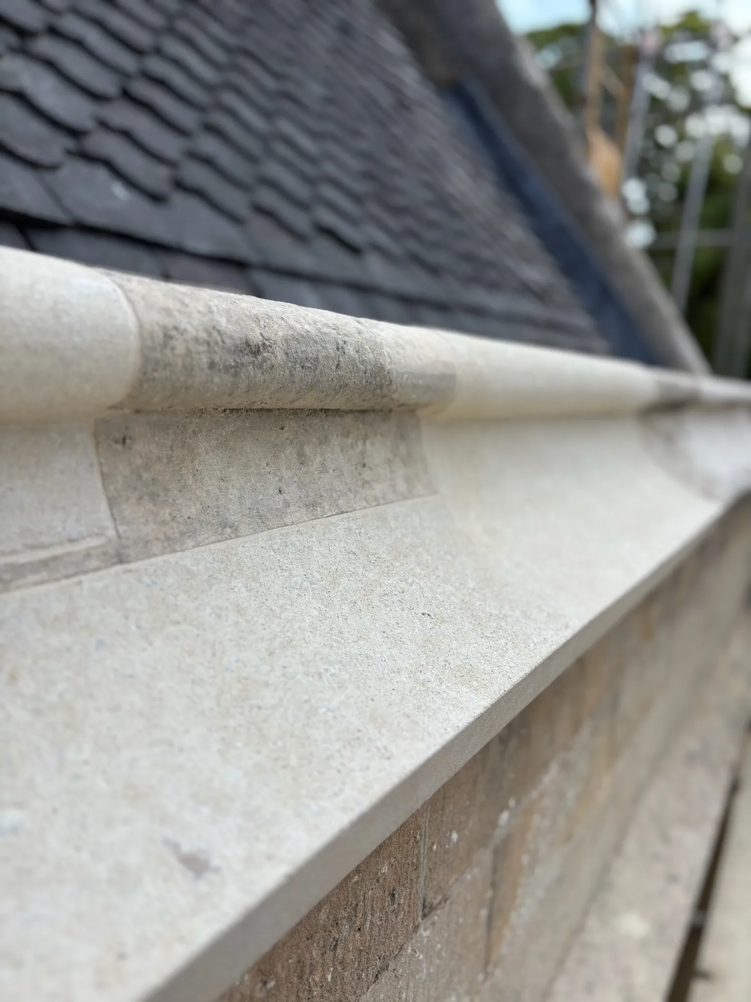 A close up of a gutter gutter gutter gutter gutter gut.